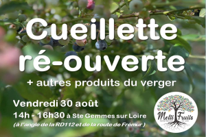 Réouverture de la cueillette de myrtilles