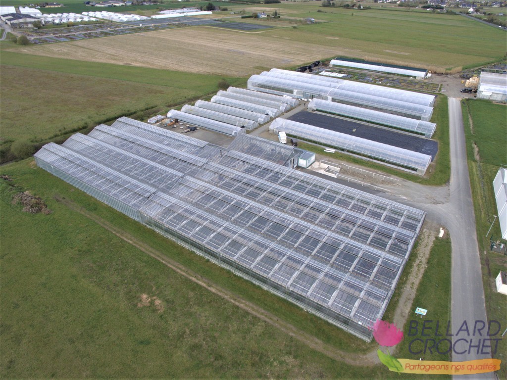 Site de production bellard-crochet à Brain sur l'Authion en Loire Authion vue du ciel